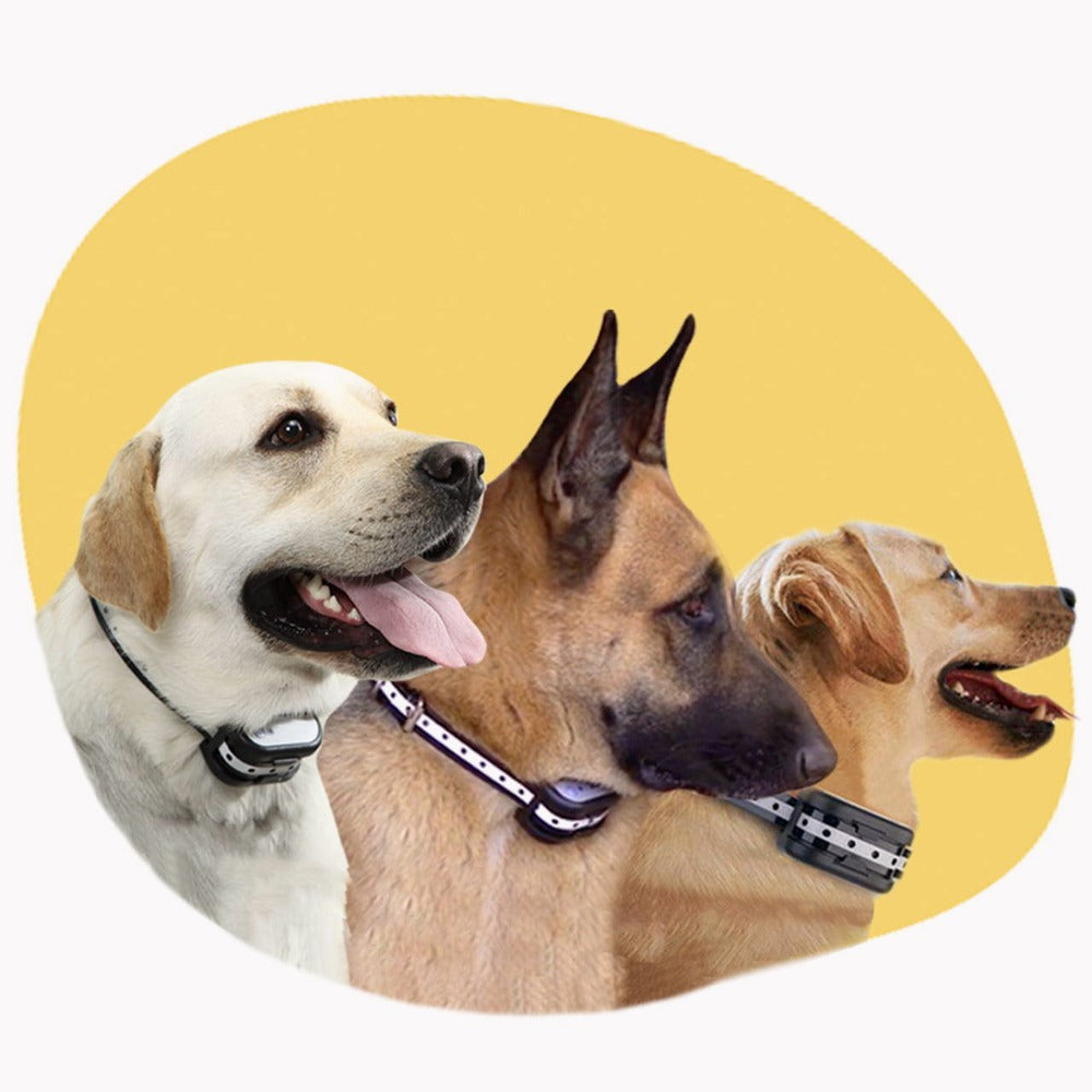SafeZone Wireless Pet Containment & Training System – Ultimate Safety & Freedom for Your Dog